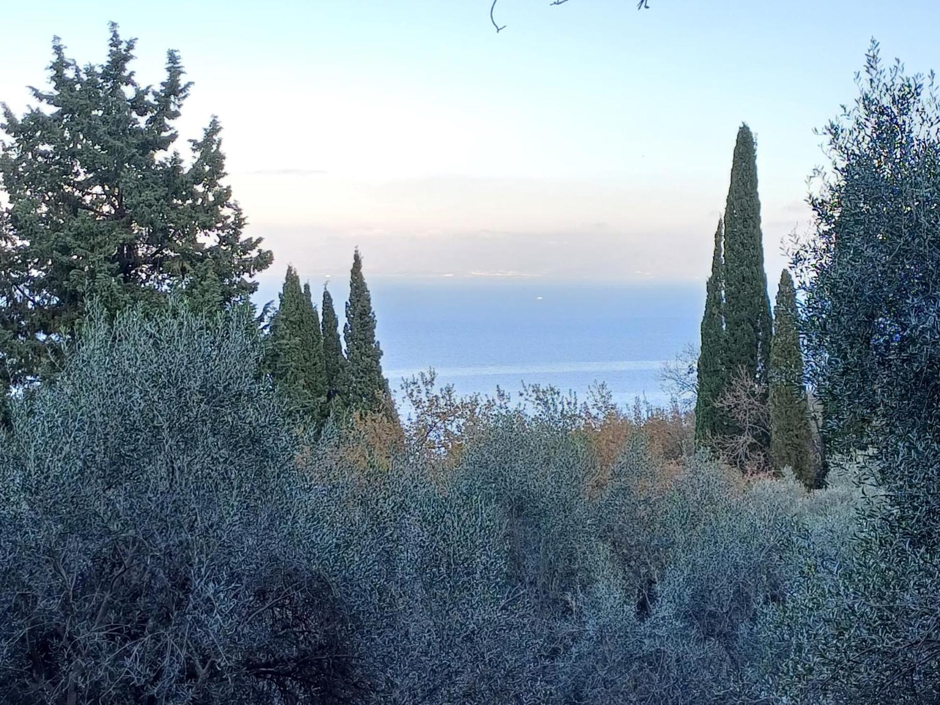 Flora Studios Corfu - Adults Only Benitses  Eksteriør bilde