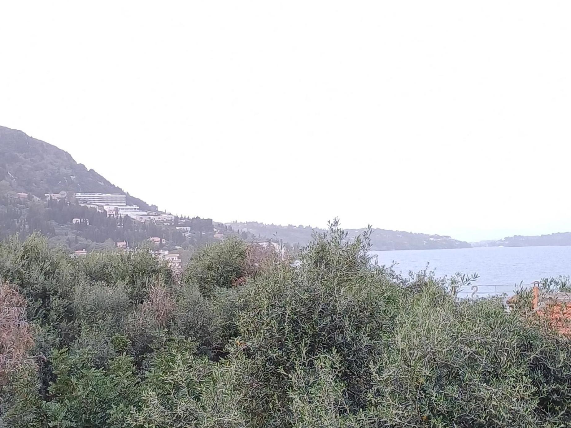 Flora Studios Corfu - Adults Only Benitses  Rom bilde